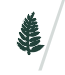 FERNS logo - a fern - link to ferns home